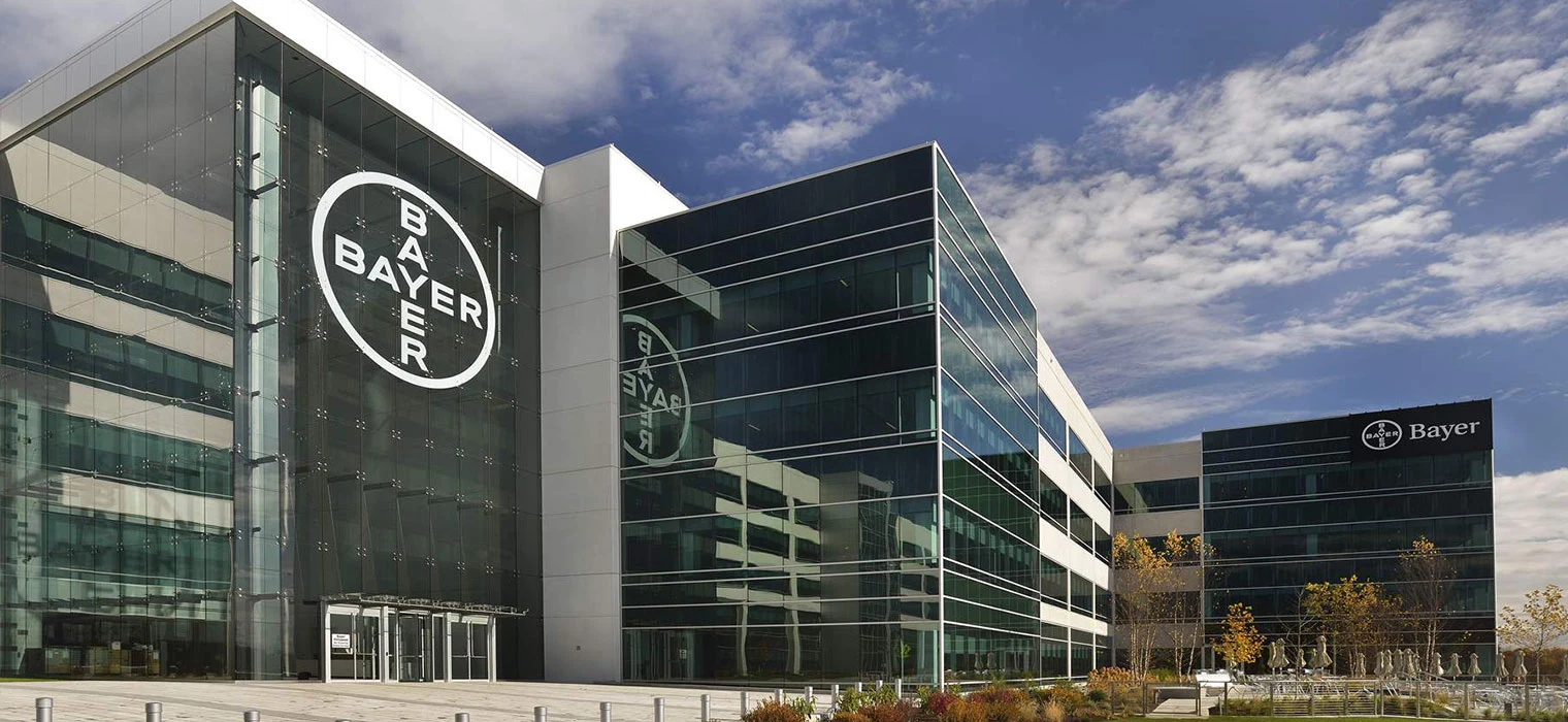 Bayer — project image 4